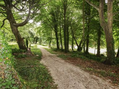 A gravel path through a wooded area with trees and greenery at Shepherd's Hut in Southerndown near St Brides Major