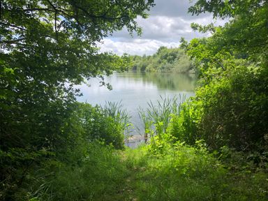 A view of a lake surrounded by green trees and grass at Mayfield Cottage Nr Malmesbury