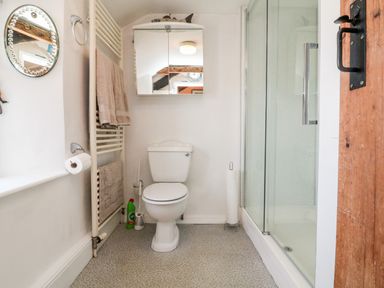 A bathroom with a toilet, glass shower, mirror cabinet, towel rail, and wooden door at The Old Forge Cottage in Kilkhampton