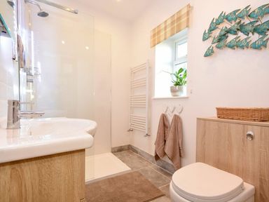 A bathroom with a shower area sink toilet towel rack and a window with a plant at The Loft (Amble) in Amble