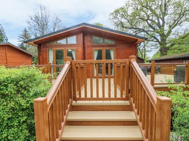 A wooden cabin with a deck and stairs surrounded by trees and bushes at 8 Waterside Wood White Cross Bay near Troutbeck Bridge
