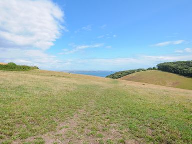 A grassy hill with a dirt path leading to a coastline with blue sea and sky and some trees on the right at Midway Lodge in Cawsand near Kingsand