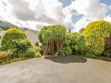 A paved area with trimmed bushes and trees around it at Brantfell Lodge in Bowness-On-Windermere