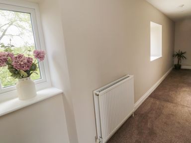 A hallway with a window ledge holding a vase with flowers a radiator on the wall and a potted plant at The Hollow in West Woodburn