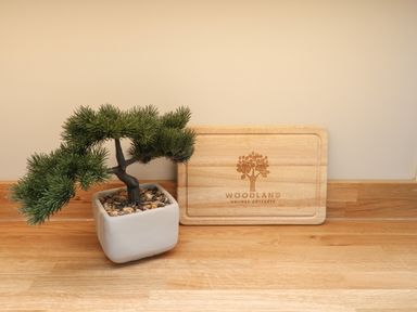A small bonsai tree in a white pot and a wooden board with woodland holiday cottages logo on a wooden surface
