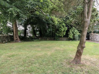 A grassy yard with trees a stone wall and a wooden bench at Bay Tree Cottage in Llanrug