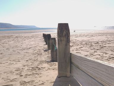 A sandy beach with wooden posts extending into the distance towards the sea and a dog standing near the shoreline at Tawelfan in Llwyngwril