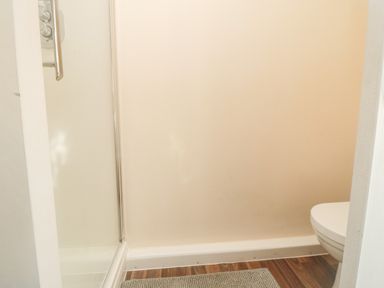 A bathroom with a shower enclosure door handle a section of a toilet and a floor mat at 31A The Green in Scalby