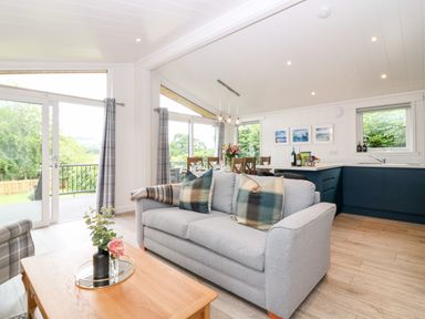 A living room with a gray sofa and plaid pillows a wooden coffee table with flowers a dining area with a wooden table and chairs and a kitchen with blue cabinets at Eden Fields Lodge in Cupar Fife