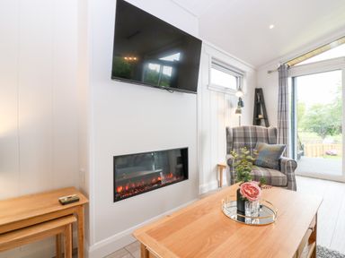 A living room with a wall-mounted television an electric fireplace a plaid armchair a wooden coffee table with flowers and a side table near a large window at Eden Fields Lodge in Cupar Fife