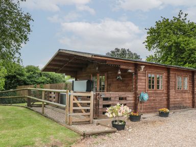 A wooden cabin with a fenced porch and potted flowers outside at Pigsfoot Lodge in Ash Thomas near Halberton Devon