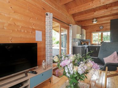 A living area with a television on a stand flowers on a table a grey chair and a kitchen in the background at Pigsfoot Lodge in Ash Thomas near Halberton Devon