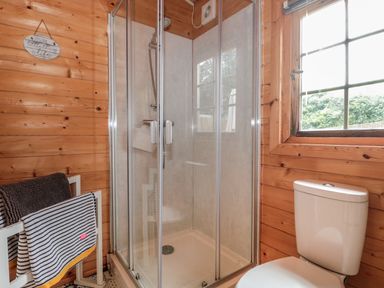 A bathroom with a glass shower enclosure a toilet a window a towel rack and wooden panel walls at Pigsfoot Lodge in Ash Thomas near Halberton Devon