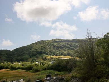 A hillside covered with trees under a partly cloudy sky with bushes and scattered objects in the foreground at 3 Pensyflog Barns in Porthmadog