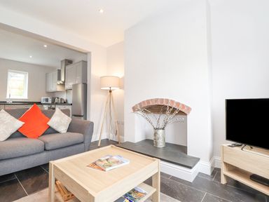A living room with a gray sofa and orange and white cushions a wooden coffee table with books a tv on a wooden stand a floor lamp and a fireplace with a vase at 1 Millbank in Keswick