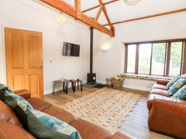 A living room with leather sofas a rug wood stove and large window at The Barnhouse Felmingham near North Walsham