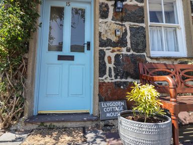 The front entrance of a stone building with a blue door a wooden bench and a potted plant outside at Llygoden Cottage in Beddgelert