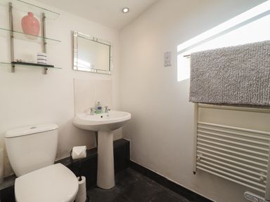 A bathroom with a toilet sink mirror towel radiator and shelves with decorations at Llygoden Cottage in Beddgelert