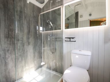 A bathroom with a shower area and toilet at Puddle Duck Shepherds Hut in Crackington Haven