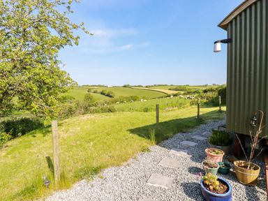 A gravel path with stepping stones and potted plants beside a green corrugated building with fields and sheep in the background at Puddle Duck Shepherds Hut in Crackington Haven