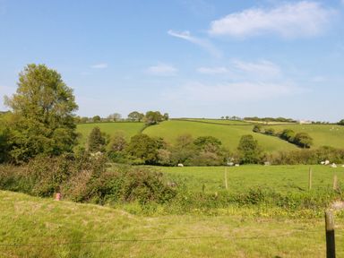 A rural landscape with green fields trees sheep and a blue sky at Puddle Duck Shepherds Hut in Crackington Haven