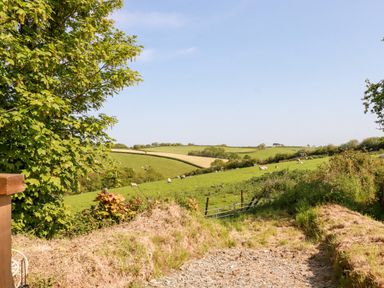 A rural landscape with green fields sheep trees and a metal gate at Shepherds Retreat in Maxworthy near Crackington Haven