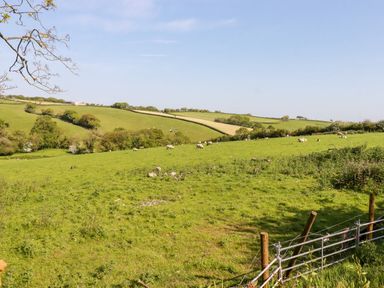 A green field with grazing sheep and hills in the background at Shepherds Retreat Maxworthy near Crackington Haven