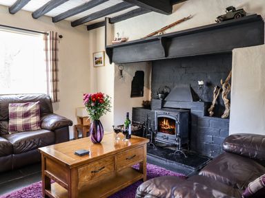 A living room with leather sofas a wooden coffee table with flowers a fireplace with a fire and decorative items at Pen y Bont Near Mallwyd