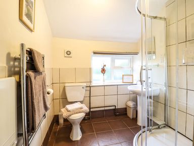 A bathroom with a toilet towel rack shower and pedestal sink at Pen y Bont Near Mallwyd