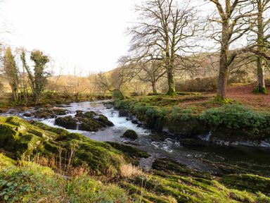 A river flowing through mossy rocks and trees with leafless branches near Pen y Bont Near Mallwyd