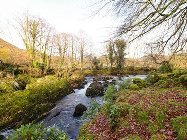 A flowing river surrounded by moss-covered rocks and trees with fallen leaves near Pen y Bont Near Mallwyd