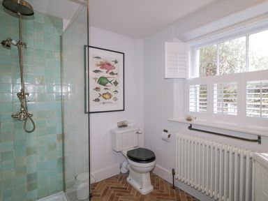 A bathroom with a shower area tiled in green, a toilet, a radiator under a window with shutters, and a framed fish illustration on the wall at The Old Rectory Coach House in Rathmullan County Donegal