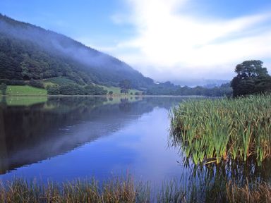 A lake with tall grass on the shore and forested hills in the background at Heron House in Talley near Llandeilo