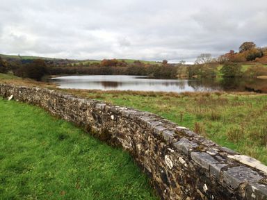 A stone wall next to a grassy field and a lake with trees and hills in the background at Heron House in Talley near Llandeilo