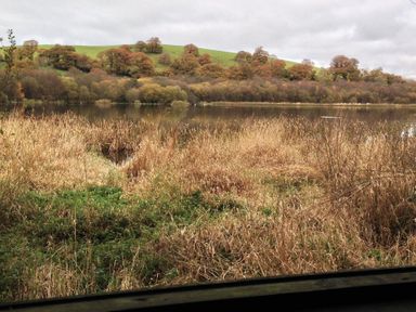 A lake with reeds and dry grass in front and trees and a hill in the background at Heron House in Talley near Llandeilo