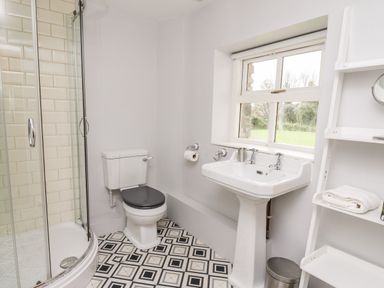 A bathroom with a shower enclosure toilet sink and shelving unit at Heron House in Talley near Llandeilo