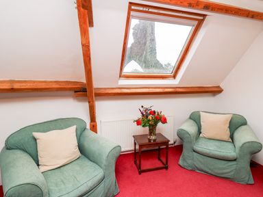 A small sitting area with two green armchairs, a wooden side table with flowers, and a skylight window at Heron House in Talley near Llandeilo