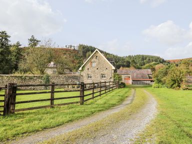 A gravel driveway leading to a stone house with wooden fences and trees at Heron House in Talley near Llandeilo