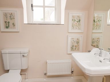 A bathroom with a toilet sink radiator botanical prints on walls at Buzzards Watch in Talley near Llandeilo