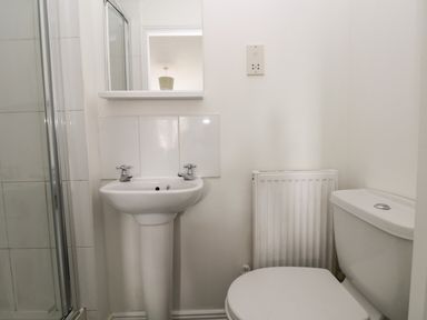 A bathroom with a pedestal sink mirror radiator toilet and shower at 39 Mariners Quay in Port Talbot