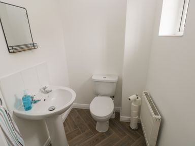 A bathroom with a toilet a pedestal sink a mirror and a radiator at 39 Mariners Quay in Port Talbot