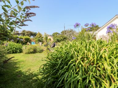 A garden with green plants and purple flowers with chairs and houses in the background at Pentira in Kuggar