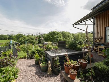 An outdoor garden area with potted plants a wooden bench gravel paths and trees in the background at Hoarders Cottage in Hay-On-Wye