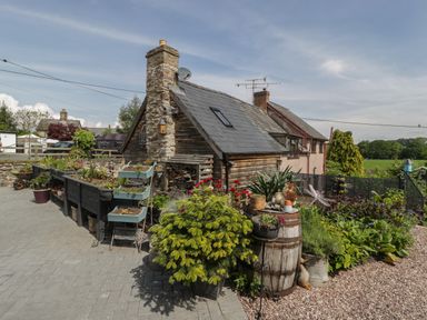 A stone and wooden cottage with plants and planters outside and a paved patio at Hoarders Cottage in Hay-On-Wye