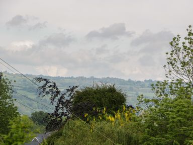 A landscape view of trees and hills with power lines at Hoarders Cottage in Hay-On-Wye