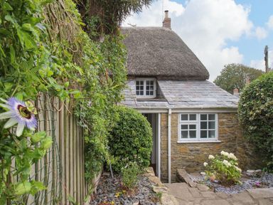 Stone cottage with thatched roof surrounded by plants and garden at Dormouse Cottage in Burton Bradstock