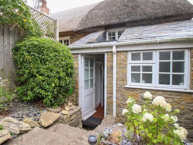 A stone cottage with a thatched roof an open white door and garden plants at Dormouse Cottage in Burton Bradstock