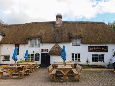 An outdoor seating area with wooden picnic tables and blue umbrellas in front of a white building with a thatched roof at The Tuckers Arms