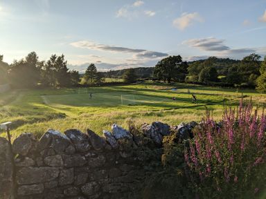 A grassy field with soccer goals and people playing near a stone wall with purple flowers at The Dairy at Brackenthwaite Farm in Arnside