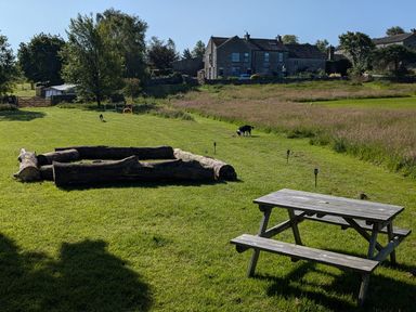 A grassy outdoor area with a wooden picnic table logs arranged in a square and two dogs near houses in the background at The Dairy at Brackenthwaite Farm in Arnside